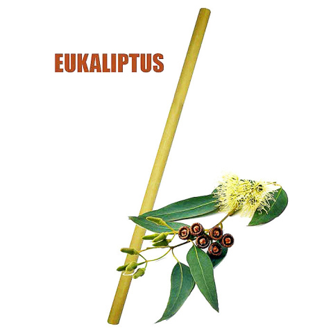 Świece do uszu Hopi Eukaliptus