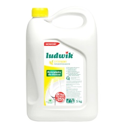 Ludwik płyn do mycia naczyń cytrynowy, 5L