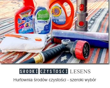 Środki czystości, chemia gospodarcza - Lesens